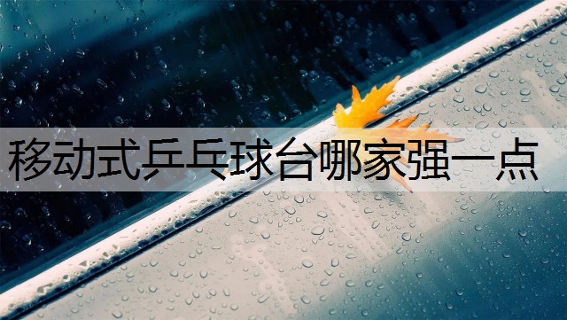 移动式乒乓球台哪家强一点