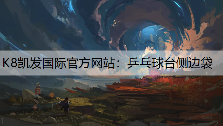 乒乓球台侧边袋