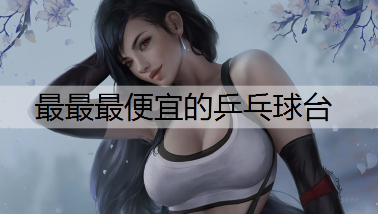 最最最便宜的乒乓球台