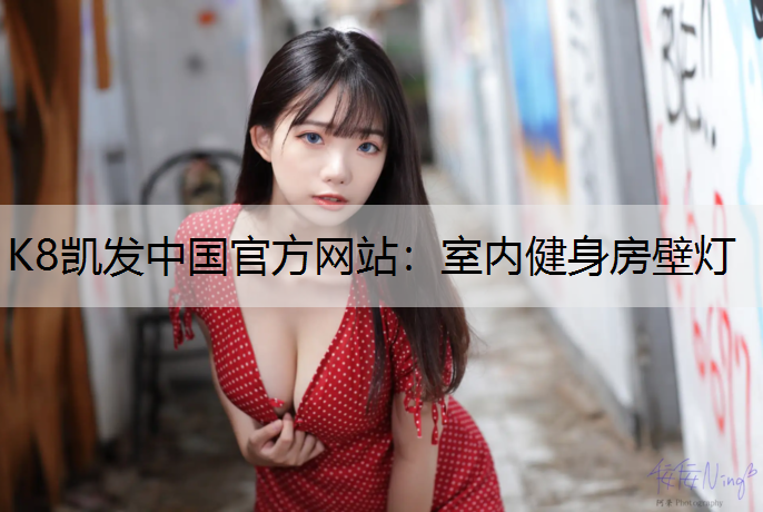 室内健身房壁灯