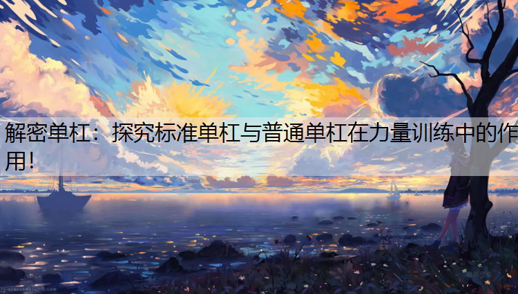 解密单杠：探究标准单杠与普通单杠在力量训练中的作用！